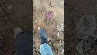 koi batyaga ye kya hai
