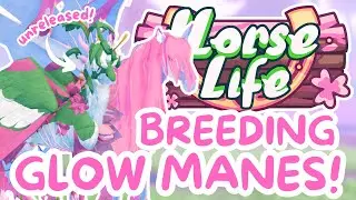 Breeding Glow Mane Horses + New UNRELEASED Breed! 🌸Horse Life Roblox Horse Game