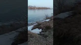 разлив р.Ишим 2024 #2024