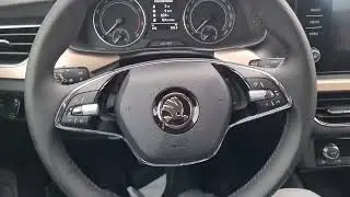Skoda Scala 2024 sau Sandero ambele la 15000 - euro