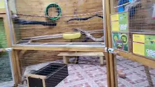 Ручной Зоопарк Волгоград