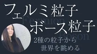 フェルミ粒子とボース粒子