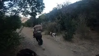 Laceadores de cerro #43