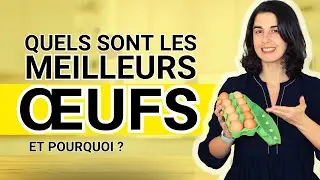 Œufs Bio, Label Rouge, Plein Air : Vaut-il la Peine de Payer Plus ?