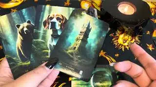 Qual MEU DESTINO, no AMOR? O que ainda VIRÁ nos MEUS CAMINHOS? | Jogo Completo| Tarot Cigano ♥