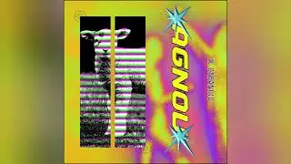 Le Cabanois - Agnou