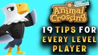 Animal Crossing New Horizons Tips and Tricks for Beginners!
