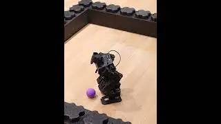 This Bot’s Got Color Vision to Spot, Chase, and Kick Balls Like a mini Messi⚽️