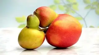 Fun Things That Look Like Other Things