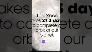 What are moon impacts on earth? |#space #facts #nasa