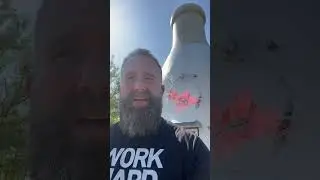 Spokane’s milk bottle
