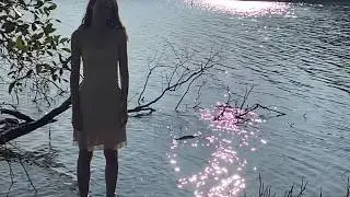 JFDR - shimmer (lyric video)
