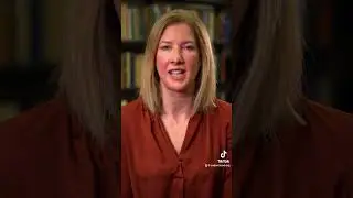 What is executive function?