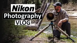 Travel Photography Vlog! Nikon Z6II bird and wildlife Photography!