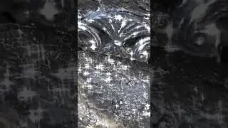 Кашпо для цветов из чего попало 