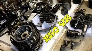 Yamaha 250 YZ (2005-2020) full demontage moteur SCUMMYBRAAP518