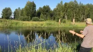Carlin water blind retrieve 160605