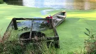 Eradicating Duckweed From Our Pond Part 1