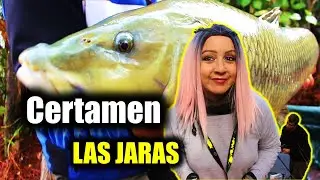 CARPFISHING LAS JARAS | Concurso de PESCA (Barbos y CARPAS GRANDES en el pantano de la encantada)