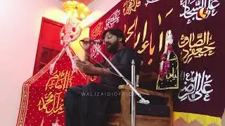 SALAM 2023 | PANI with WaliZaidi | Live