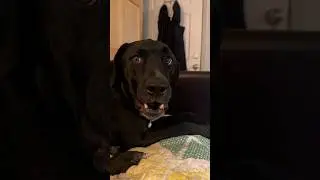 Seriously?