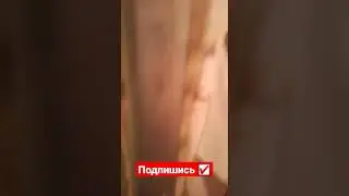 iALENKA Киборг 🤣🤣🤣🤣