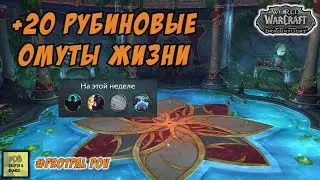 +20 Рубиновые Омуты Жизни. Ruby life pools. WoW Dragonflight 