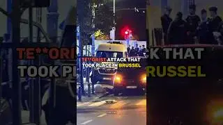 Why Was Sweden Vs Belgium Stopped?