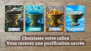 Vous recevez une purification sacrée - Tirage choix 🐉
