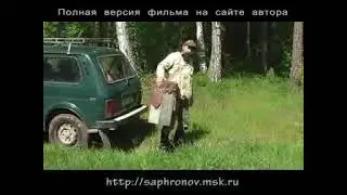 Ловля роёв