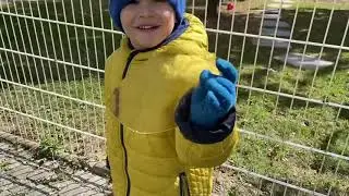 Нашли льдинку и она разбилась, мы огорчились и решили одолжить самокат