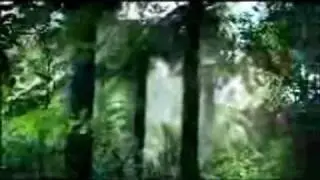 Meridian Energy Ad (luchiboy remix)