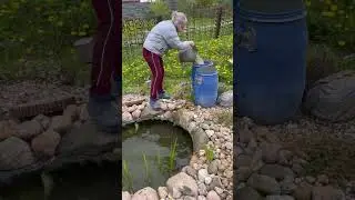 Оно того стоит? Дом или квартира?