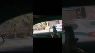 Стреляет ли палка раз в год? 