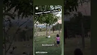 Vendedor e o cliente