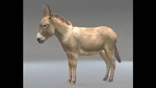 3D Model Donkey Pony Hair Fur Rigged Low Poly Animal at 3DExport.com