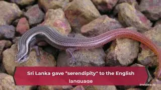 Sri Lanka - Facts