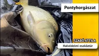 Halvédelmi eszköztár - Ezek mindig legyenek veled a vízparton! - Szabó Attila