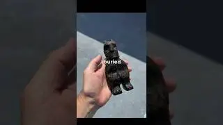 Unexpected things found on Beach! 😵
