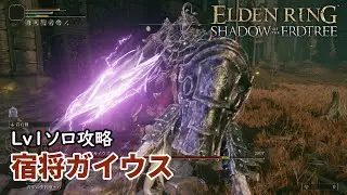 【エルデンリング】Lv1ソロ宿将ガイウス討伐【DLC】【Elden Ring】【VOICEVOX実況】