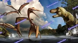QUETZALCOATLUS - QUÁI VẬT THỐNG TRỊ BẦU TRỜI THỜI CỔ ĐẠI | DISCOVERY
