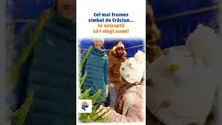 Dedeman: Brazi naturali