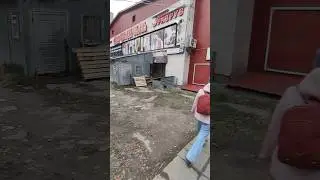 Собачья будка