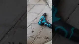 Kugoo G не включается.