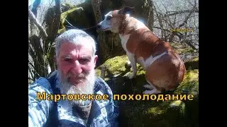 Мартовские заморозки