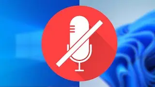 How to Fix Microphone on Windows 11 | Microphone Not Working in Windows 11