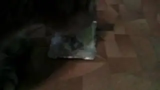 Прикол про мою кошку! 😆😆😆
