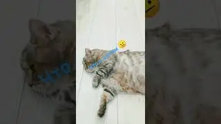 виска не тот уже 🤣