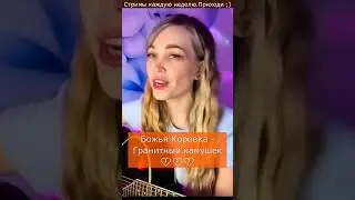 Божья коровка - Гранитный камушек 💔💔💔