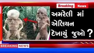 અમરેલીમાં એલિયન દેખાયુ લોકો જોવા માટે દોડા દોડી કરી રહ્યા છે